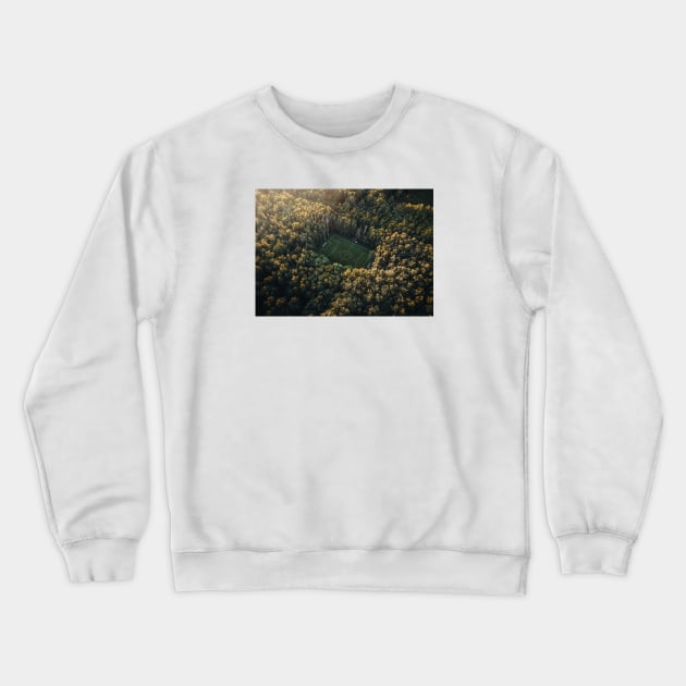 Soccer Pitch Crewneck Sweatshirt by withluke